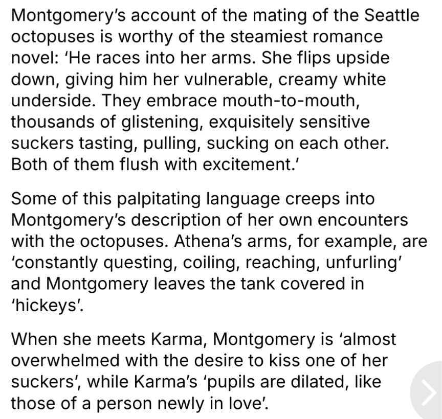 Montgomery's account of the mating of the Seattle octopuses is worthy of the steamiest romance novel: 'He races into her arms. She flips upside down, giving him her vulnerable, creamy white underside. They embrace mouth-to-mouth, thousands of glistening, exquisitely sensitive suckers tasting, pulling, sucking on each other. Both of them flush with excitement.' Some of this palpitating language creeps into Montgomery's description of her own encounters with the octopuses. Athena's arms, for example, are 'constantly questing, coiling, reaching, unfurling' and Montgomery leaves the tank covered in "hickeys'.
When she meets Karma, Montgomery is 'almost overwhelmed with the desire to kiss one of her suckers, while Karma's 'pupils are dilated, like those of a person newly in love'.