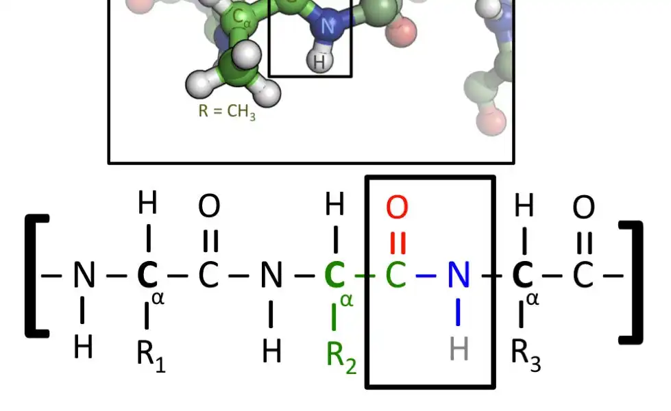 Why Yudkowsky is wrong about "covalently bonded equivalents of biology"