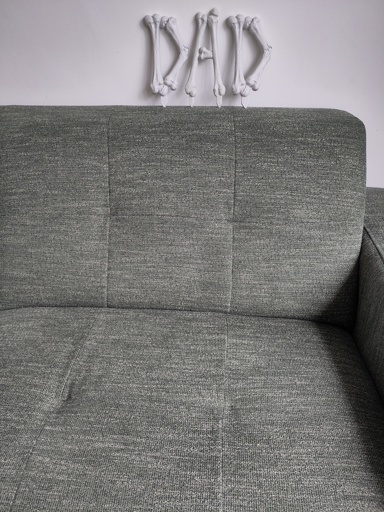 A picture of a couch. On the back, a bunch of plastic letters formed like bones spell out the word 'Dad'