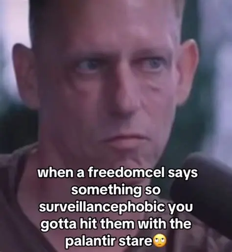 image of peter thiel looking agitated with caption when a freedomcel says something so surveillancephobic you gotta hit them with that palantir stare