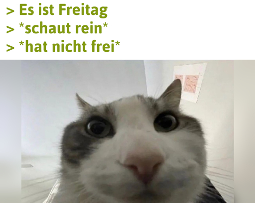 Der Freitag ist 1 dreiste Lüge.