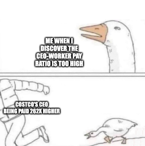 Goose realizing "Me when I discover the ceo-worker pay ratio is too high" "Costco's ceo being paid 262x higher"