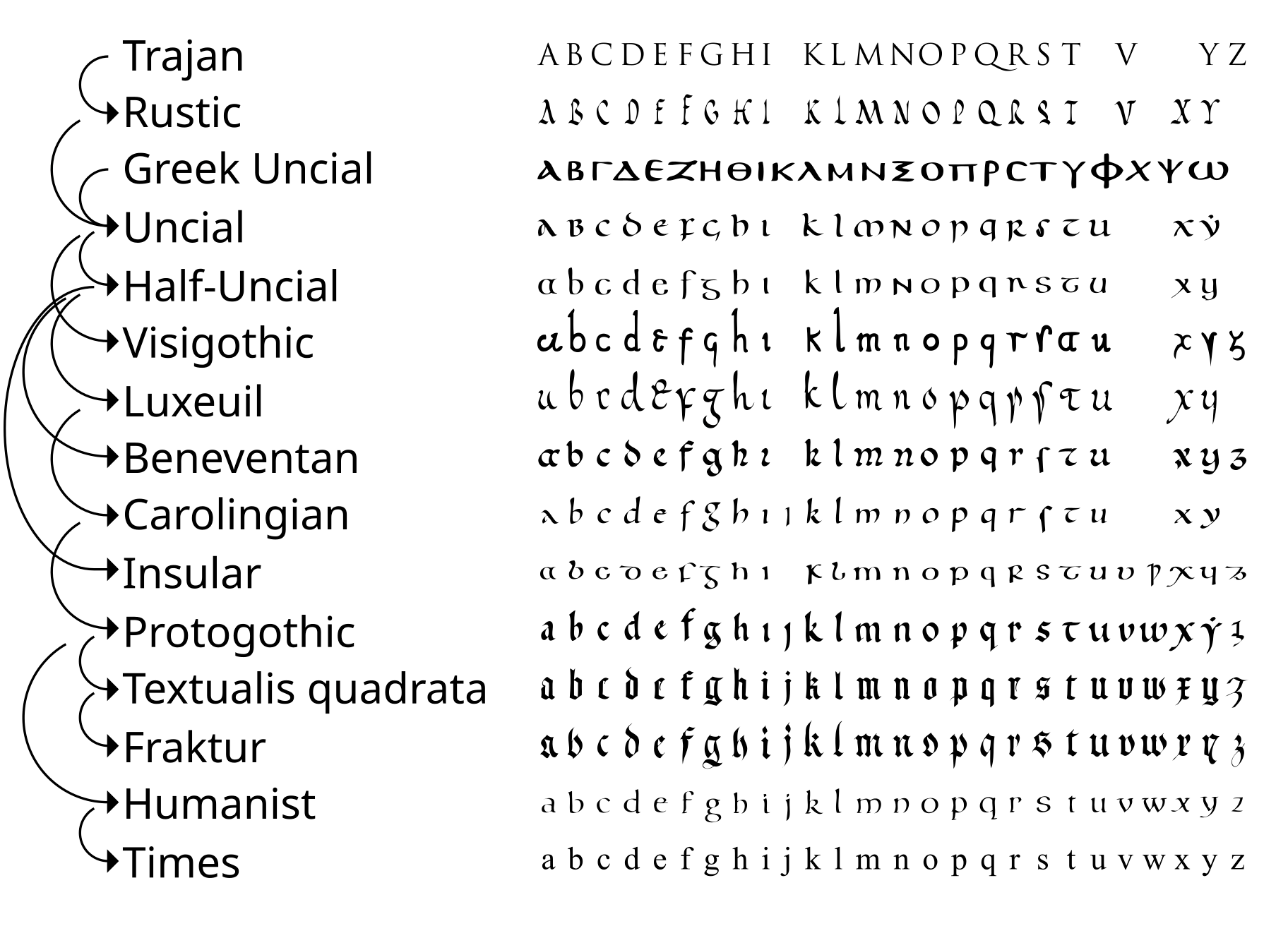 A simplified diagram showing the development of various latin scripts