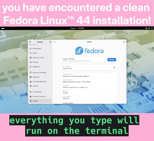 You have encountered a clean fedora linux 44 installation! everything you type will run on the terminal