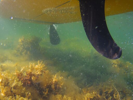 Underwater photo from behind and underneath a paddelboard as it's being paddled.