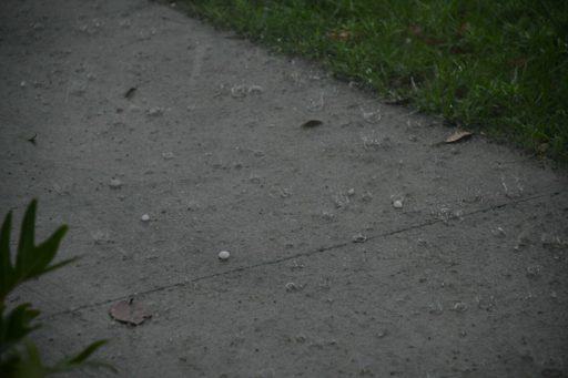A concrete footpath next to green grass, with lots of rain splashing on the path, and a few small hailstones.