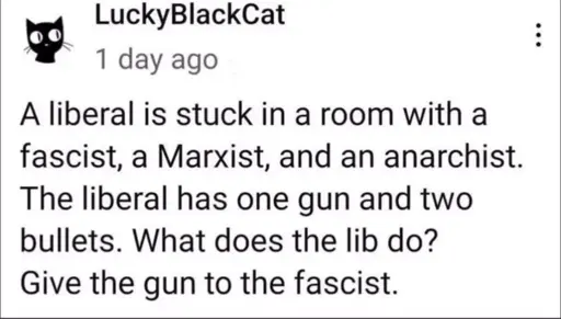 Microblock post from LuckyBlackCat: A liberal is stuck in a room with a fascist, a Marxist and an anarchist. The liberal has one gun and two bullets. What does the lib do? Give the gun to the fascist.