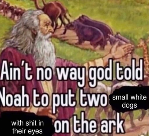 image of Noah from the Bible with his animals. caption: ain't no way god told Noah to put two small white dogs with shit in their eyes on the ark