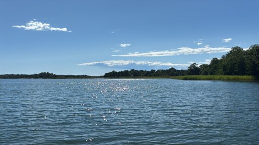 Photo from the water with the sun sparkling on the waves a green overgrown shore and mostly blue skies with nice white clouds.