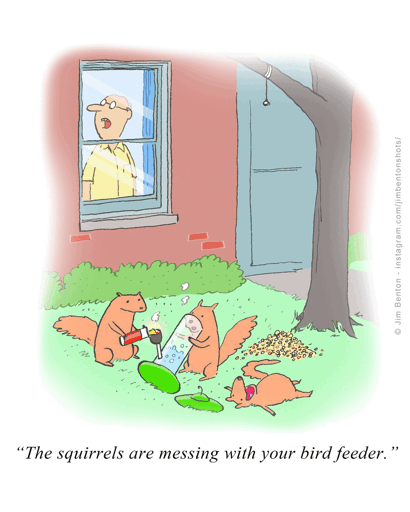 The squirrels are messing with your bird feeder.